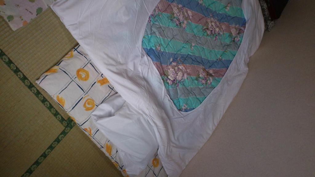 New Hakuginso Hotel NakaNakafurano Quarto foto